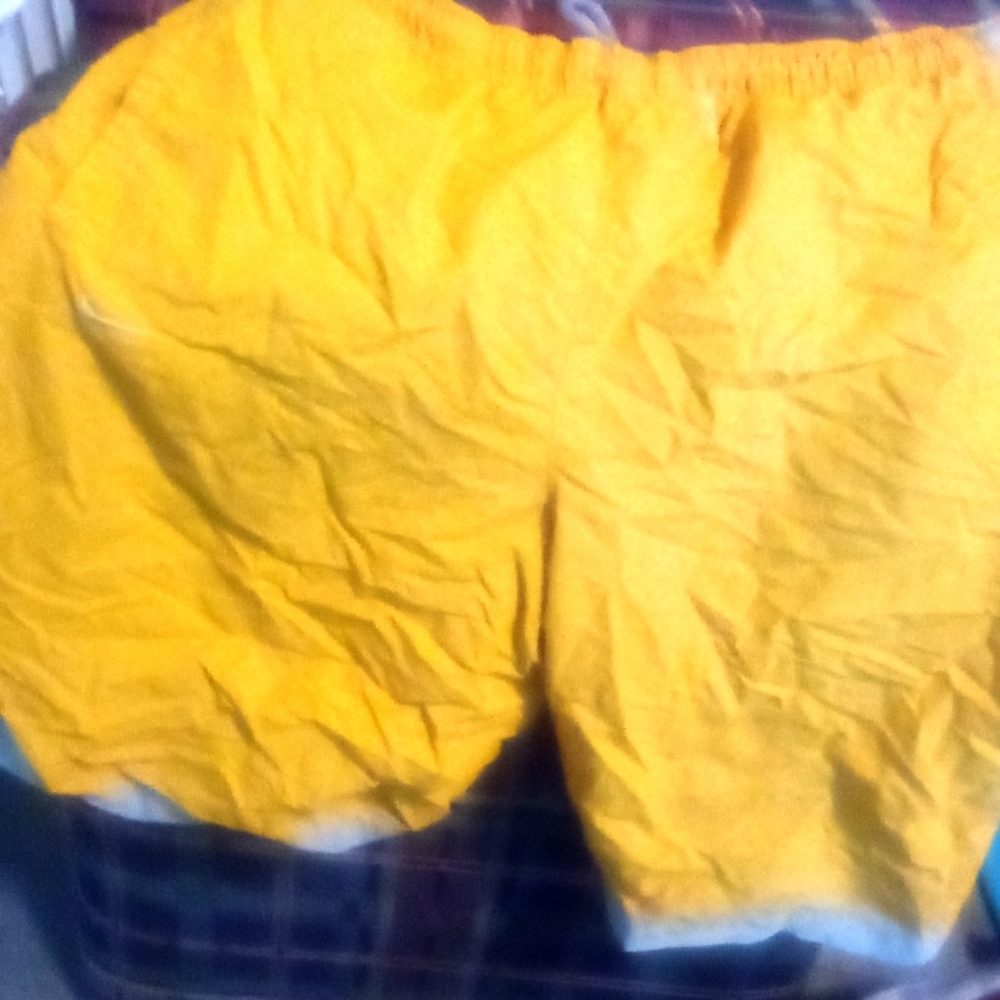 Nike swim trunks